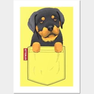 Cute Rottweiler Pocket Puppy Posters and Art